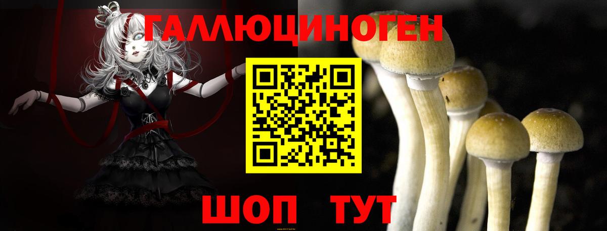 Миллерово  Галлюциногенные грибы Magic Shrooms  Вход с VPN  Галлюциногенные грибы мицелий 